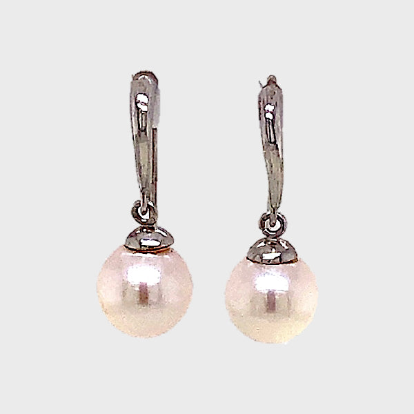 Classic South Sea Drop Earrings in 14k White Gold