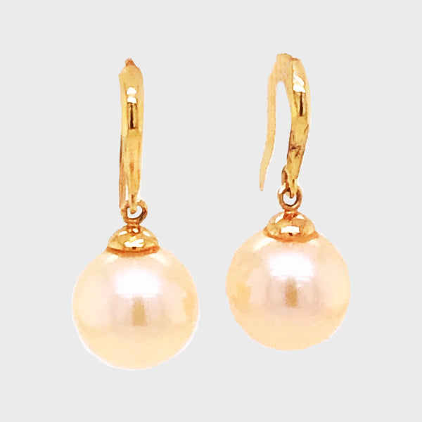 Golden South Sea Drop Pearl Earrings in 14k Yellow Gold