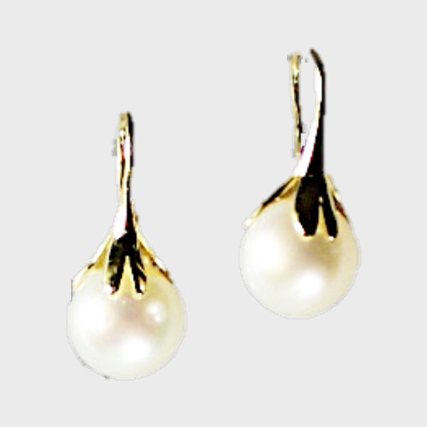 South Sea Pearl Drop Earrings in 14k Yellow Gold